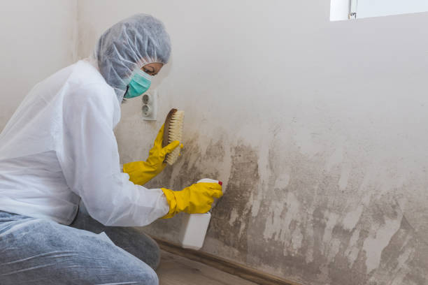 Best Biohazard Mold Removal  in Inverness, CA
