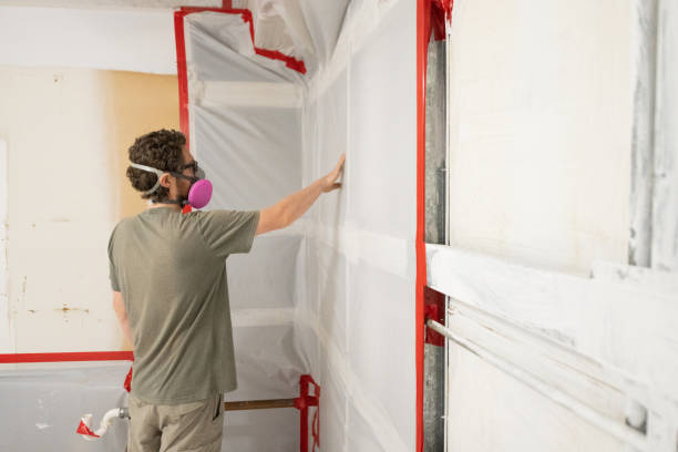 Mold Documentation for Insurance Claims in Inverness, CA