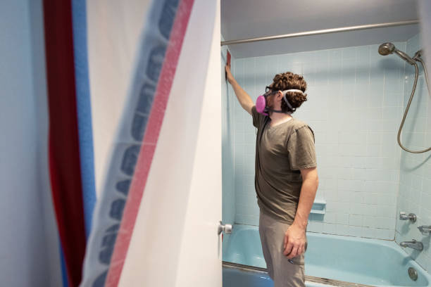  Inverness, CA Mold Removal Pros