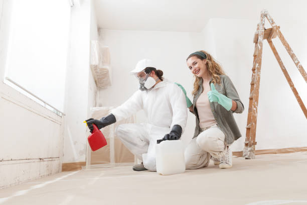 Best Basement Mold Removal  in Inverness, CA