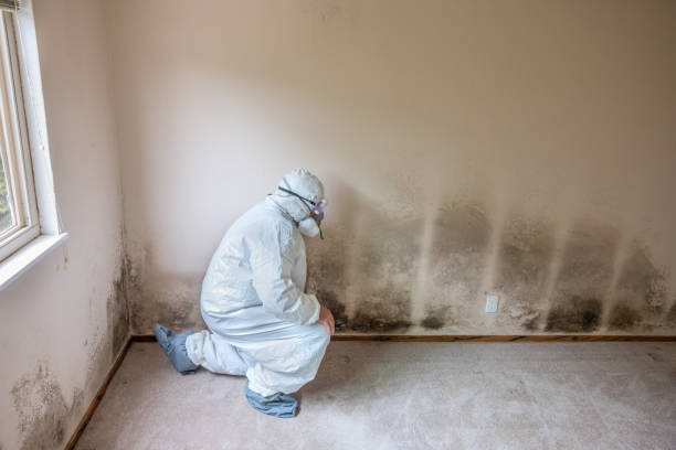 Best Airborne Mold Testing  in Inverness, CA